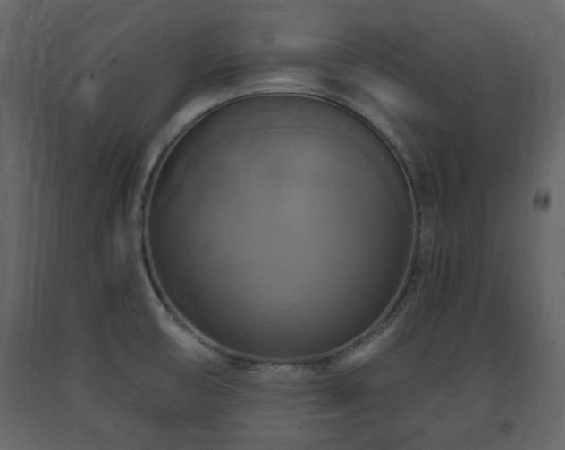 X0000091641474200708231147
