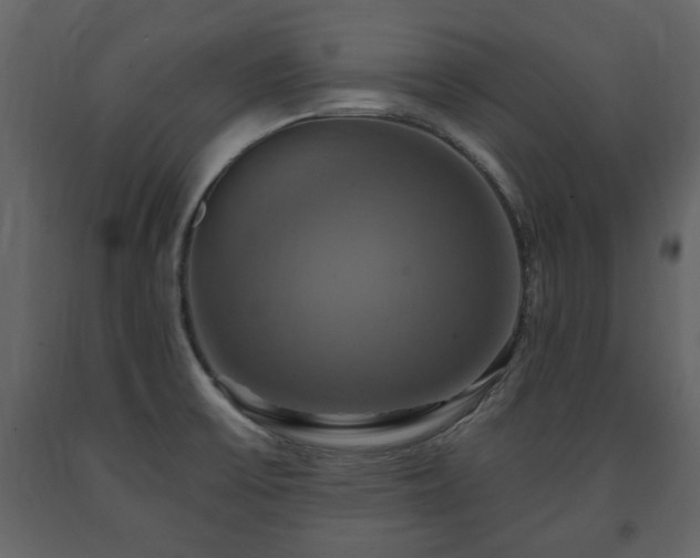X0000091641475200708231147