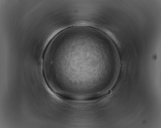 X0000091641476200708231147