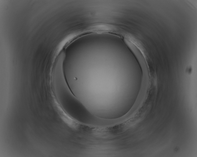 X0000091641477200708231147