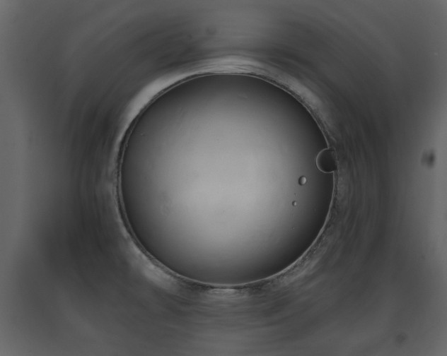 X0000091641478200708231147