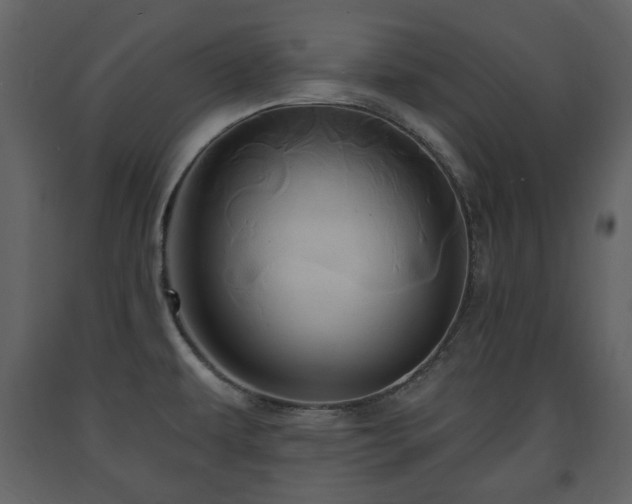 X0000091641479200708231147