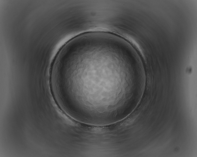 X0000091641480200708231147
