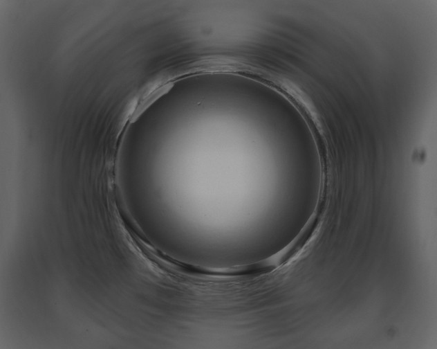 X0000091641481200708231147
