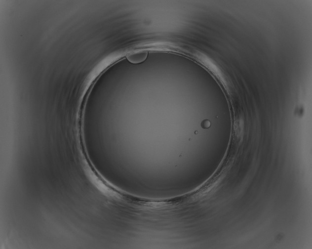 X0000091641482200708231147