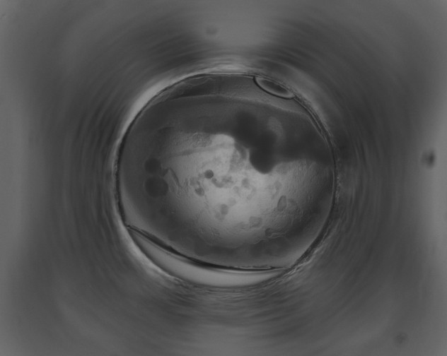 X0000091641483200708231147