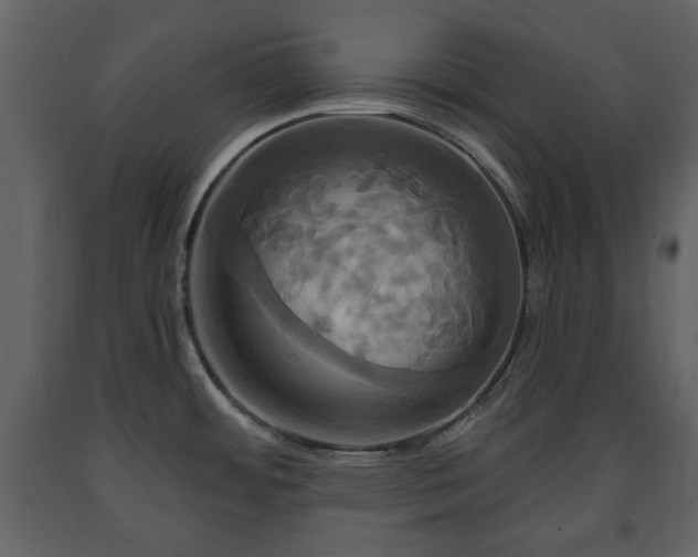 X0000091641484200708231147
