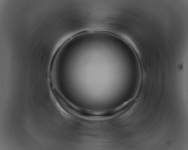 X0000091641485200708231147