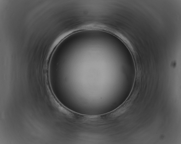 X0000091641486200708231147