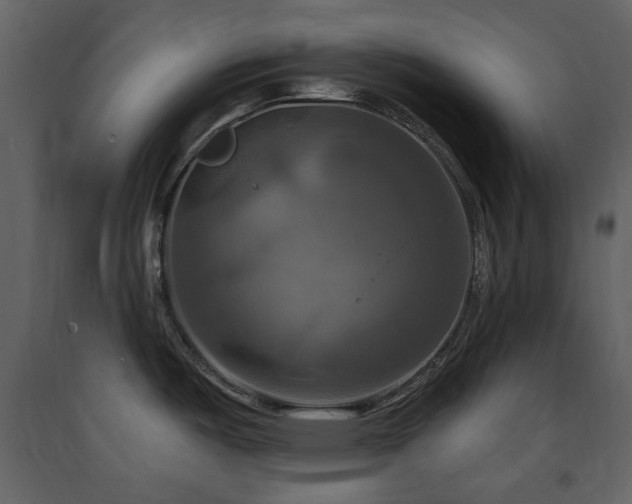 X0000091641487200708231147