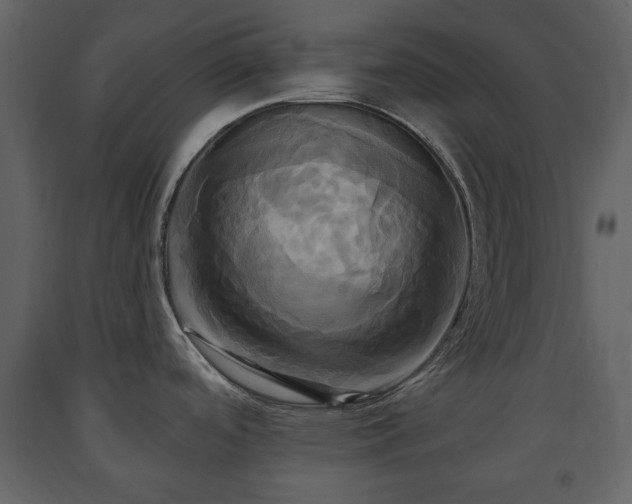 X0000091641488200708231147