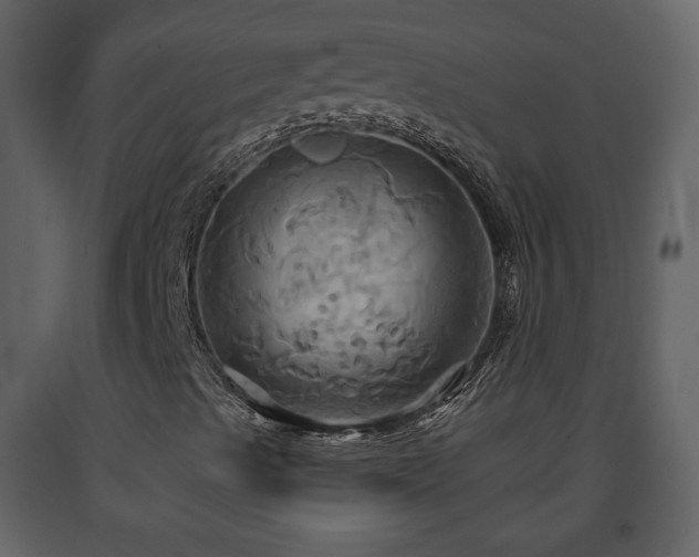X0000091641489200708231146