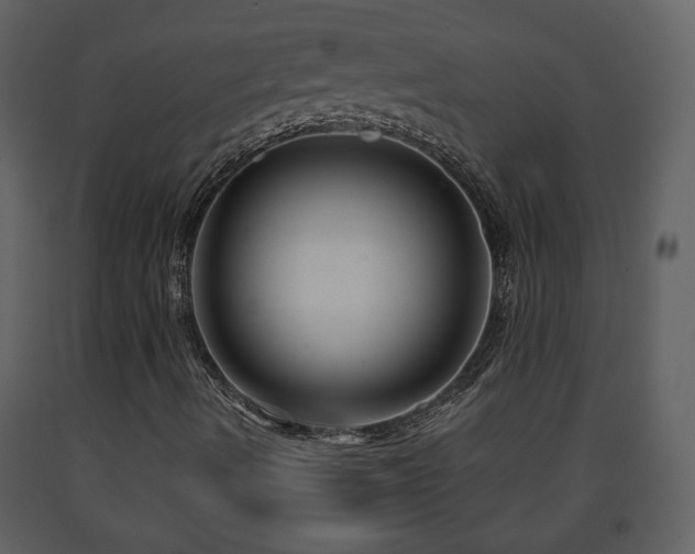 X0000091641490200708231147