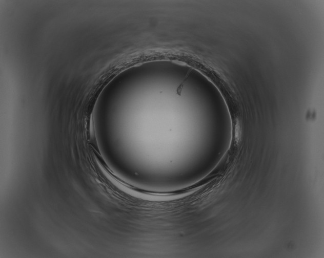 X0000091641492200708231147