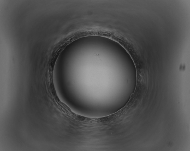 X0000091641493200708231147