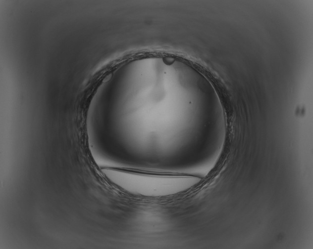 X0000091641494200708231147