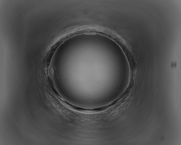 X0000091641496200708231147