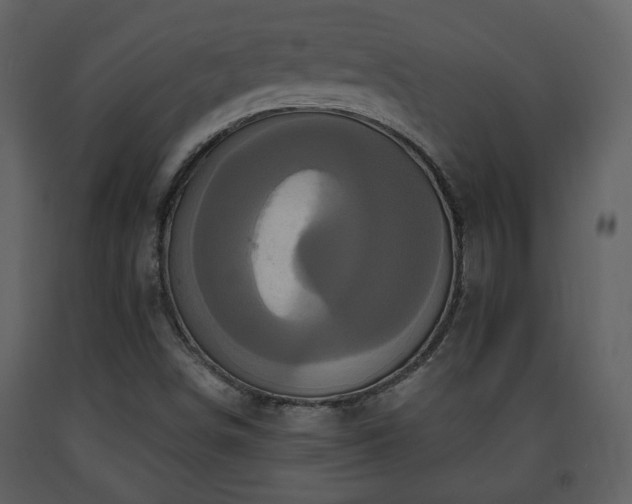 X0000091641498200708231147
