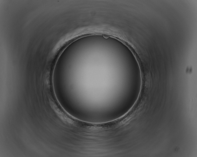 X0000091641499200708231147