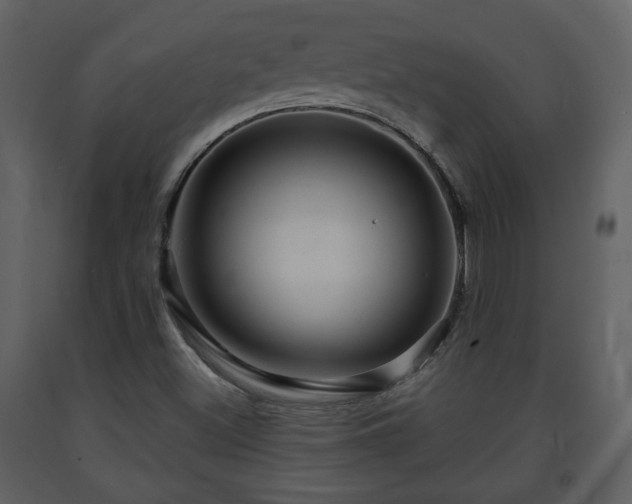X0000091641500200708231147
