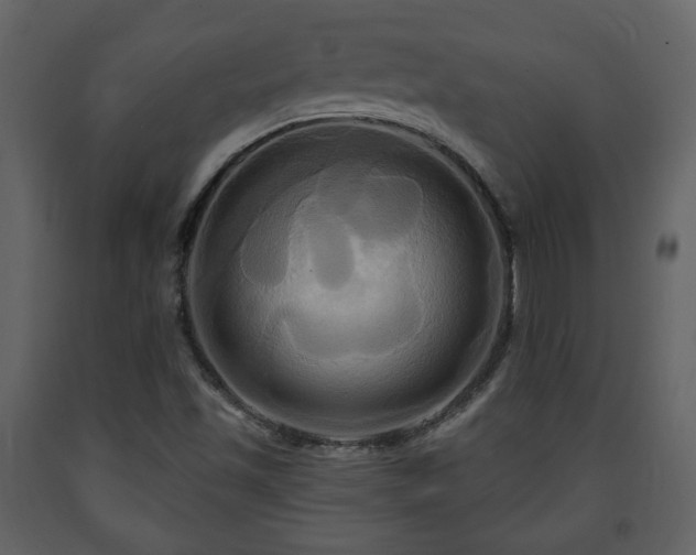 X0000091641501200708231147
