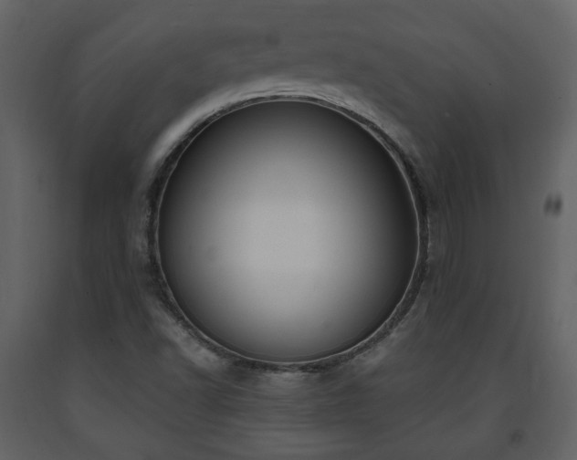 X0000091641502200708231147