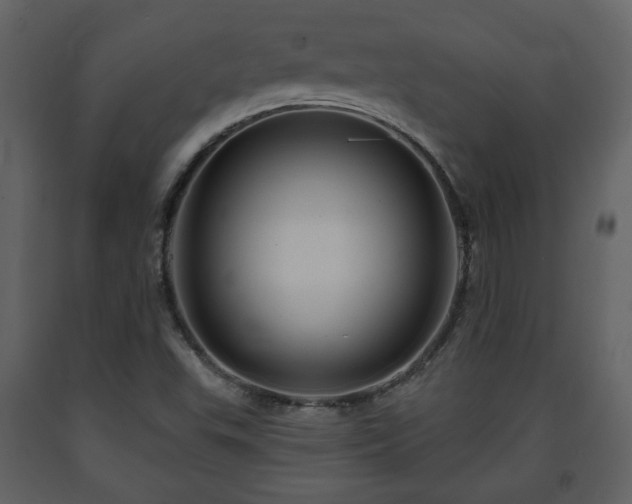 X0000091641503200708231147