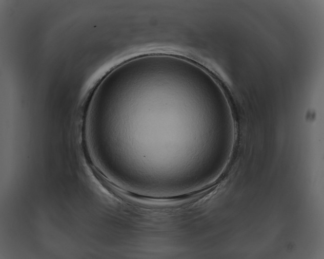 X0000091641504200708231147