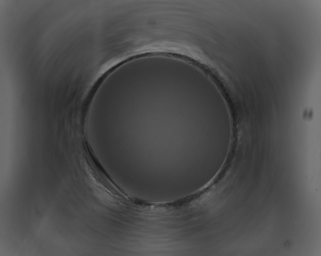 X0000091641505200708231147