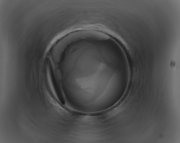 X0000091641506200708231147