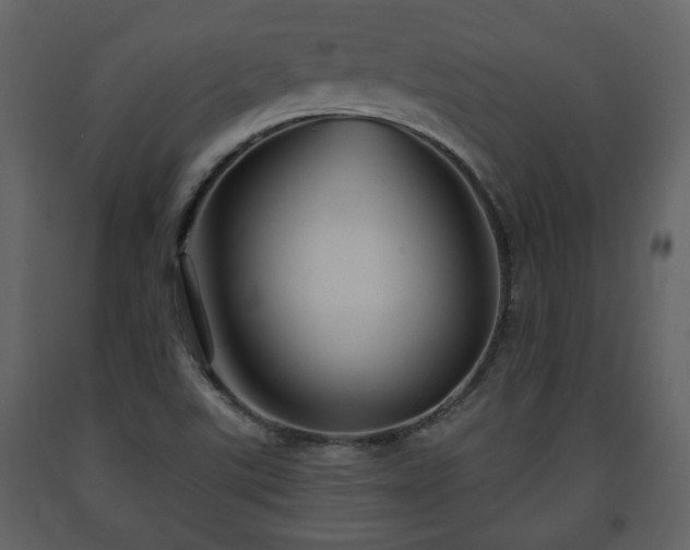 X0000091641507200708231147