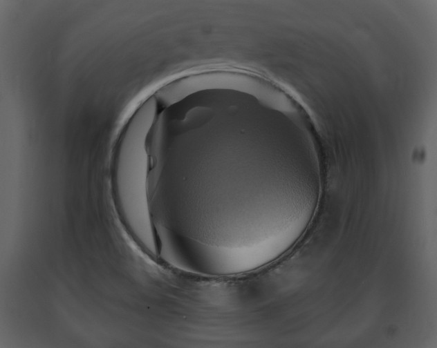 X0000091641508200708231147