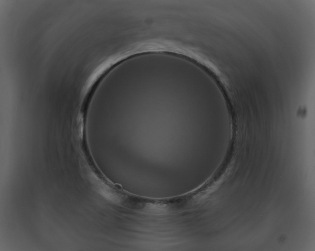 X0000091641509200708231147