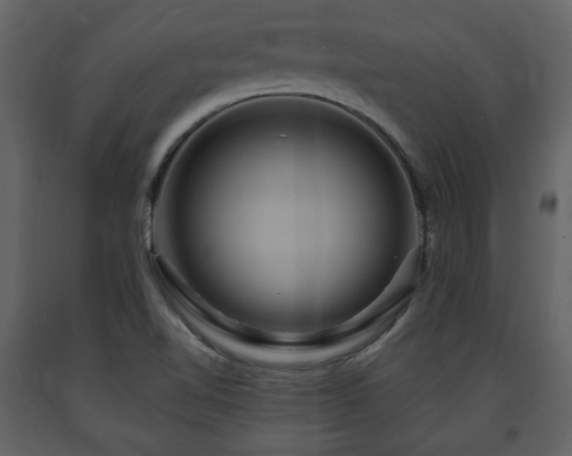 X0000091641510200708231147