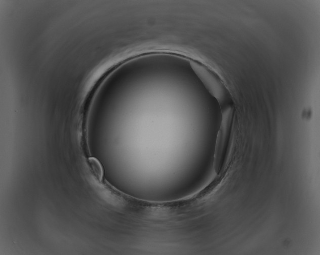 X0000091641511200708231147