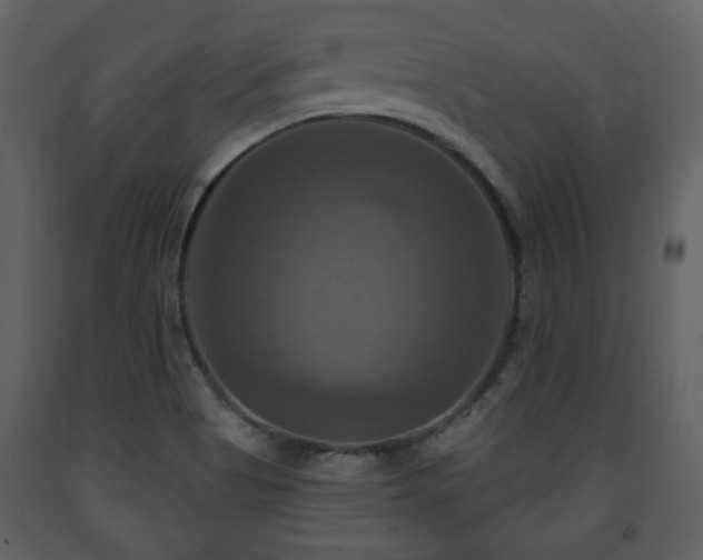 X0000091641513200708231147