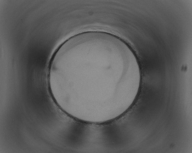 X0000091641514200708231147