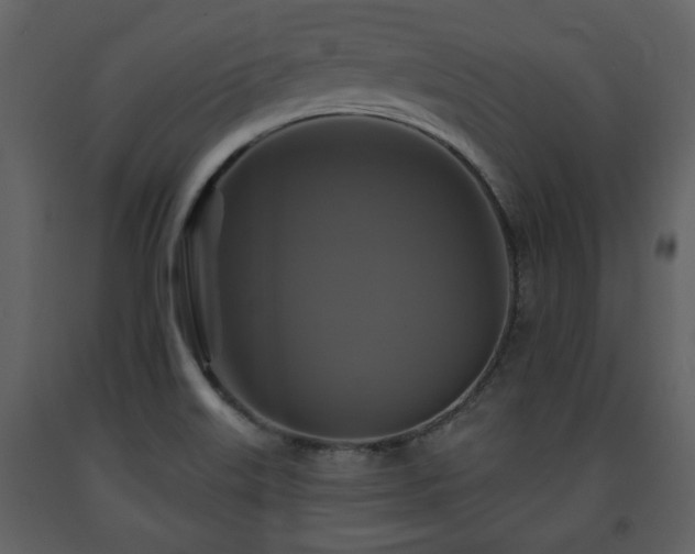 X0000091641515200708231147