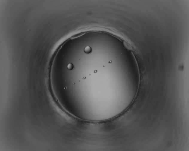 X0000091641518200708231147