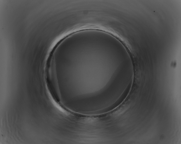 X0000091641519200708231147