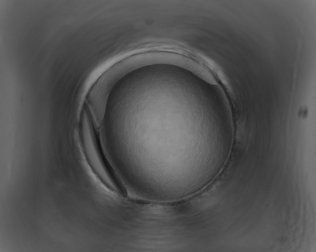 X0000091641520200708231147