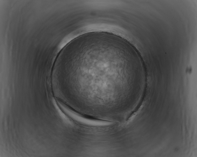 X0000091641521200708231147