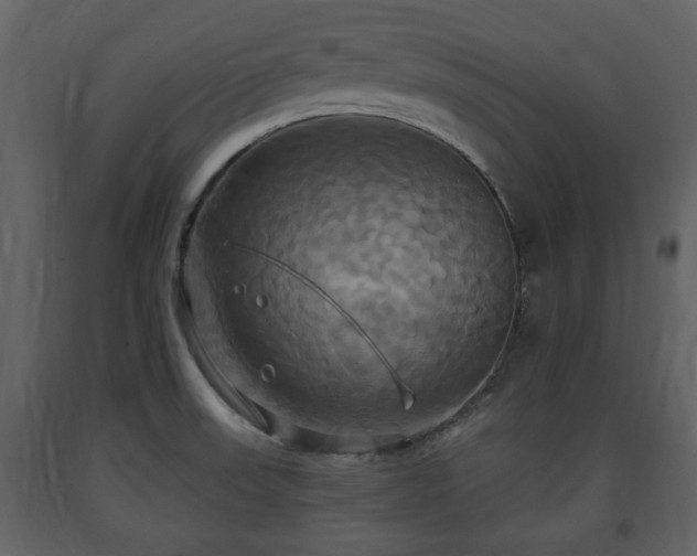 X0000091641523200708231147