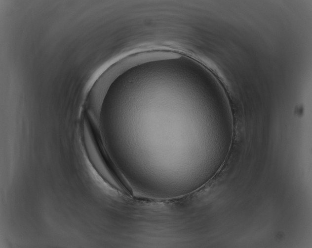 X0000091641524200708231147