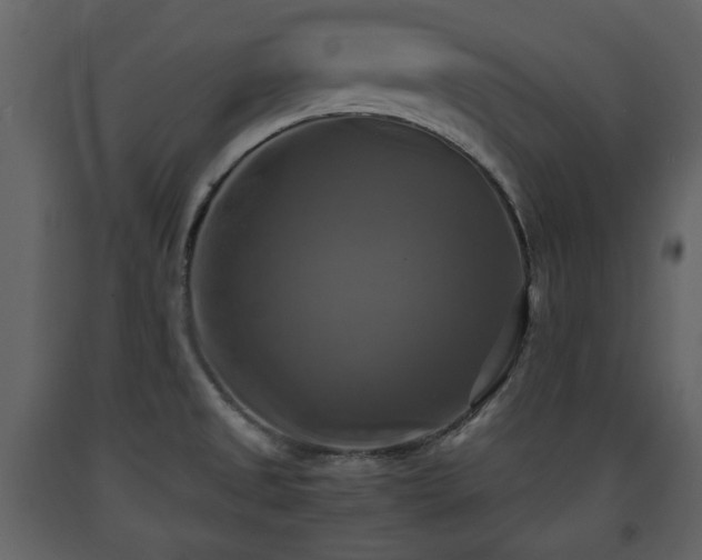 X0000091641525200708231147