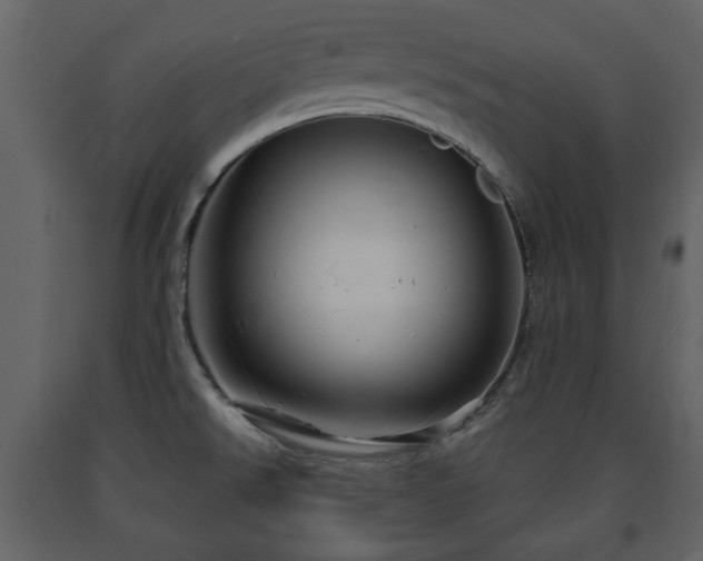 X0000091641526200708231147