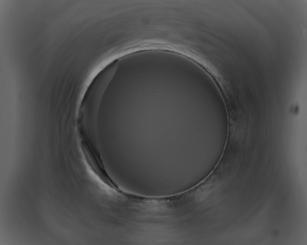 X0000091641527200708231147