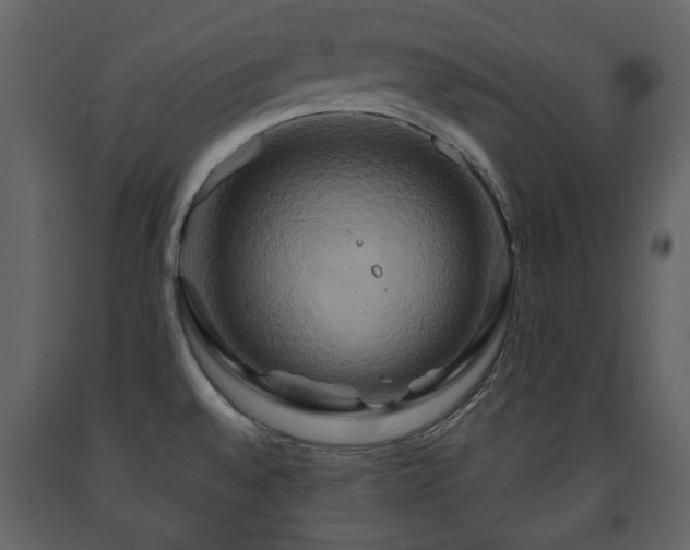 X0000091641528200708231147
