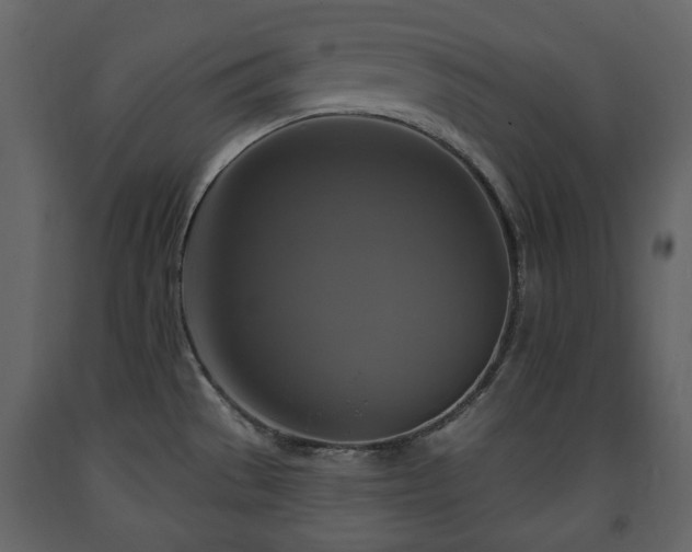X0000091641529200708231147