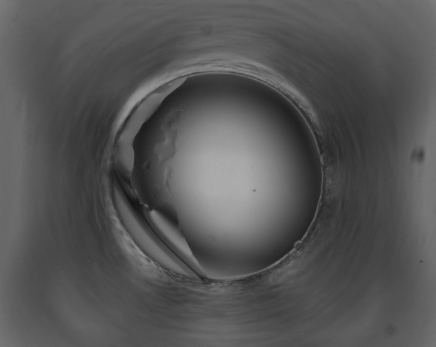 X0000091641530200708231147